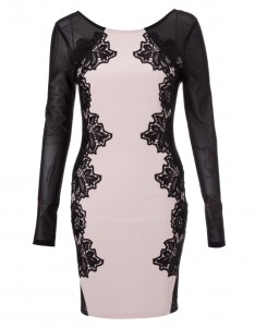 Long Sleeve Lace Bodycon Dress