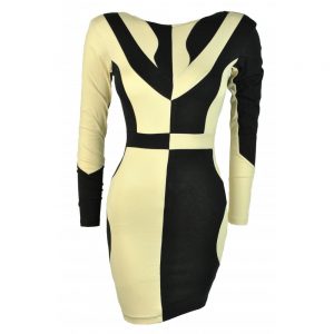 Long Sleeved Bodycon Dress