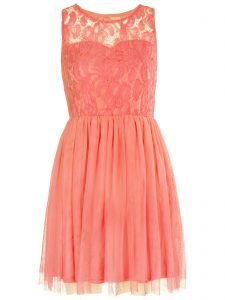 Floral Lace Skater Dresses