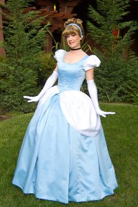 Cinderella Dress Pattern