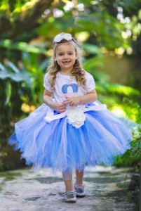 Cinderella Dress for Toddler