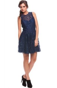 Lace Fit and Flare Dresses