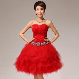 Red Feather Dress