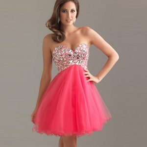 Tutu Dresses for Women