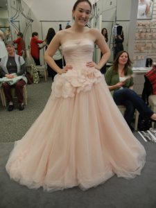 Blush Vera Wang Wedding Dress