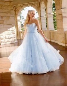 Disney Cinderella Wedding Dress