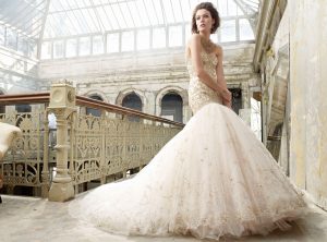 Lazaro Blush Wedding Dress