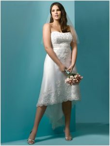 Plus Size Short Wedding Dresses