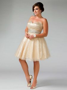 Semi Formal Plus Size Dresses