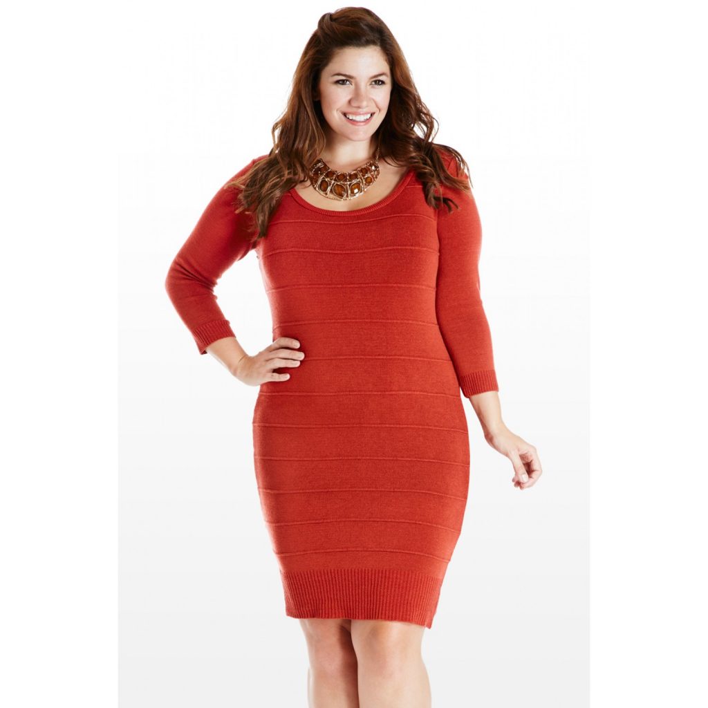 plus size sweater dresses for women
