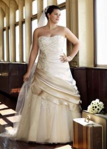 Plus Size Champagne Wedding Dresses