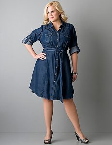 Plus Size Denim Shirt Dress