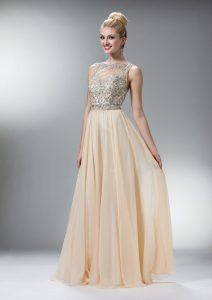 Champagne Dresses Prom