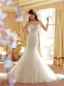 Drop Waist Lace Wedding Dress