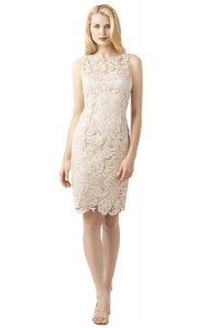 Lace Champagne Dress