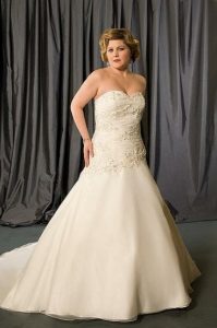 Plus Size Drop Waist Wedding Dress