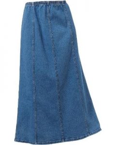 Gored Denim Skirt