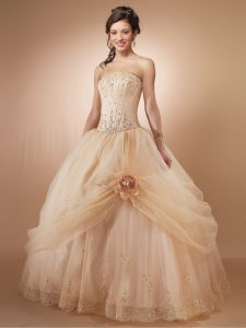 Champagne Ball Gowns