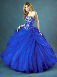 Elegant Blue Ball Gowns