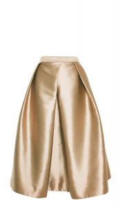 Gold Skirt Images