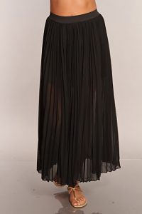 Pleated Sheer Skirt