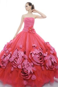 Princess Ball Gowns