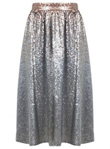 Silver Sparkly Skirt