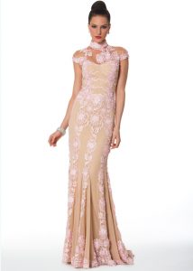 Lace Evening Gown